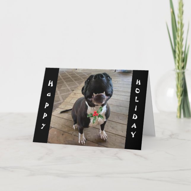 **DOG WANT MERRY CHRISTMAS & A BONE** AT CHRISTMAS HOLIDAY CARD (Front)