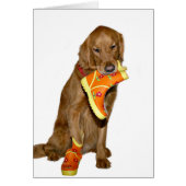 Dog wants outside (Front)