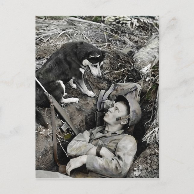 Dog Watching Soldier in His Foxhole Postcard (Front)