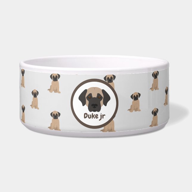 Dog water bowl (Front)