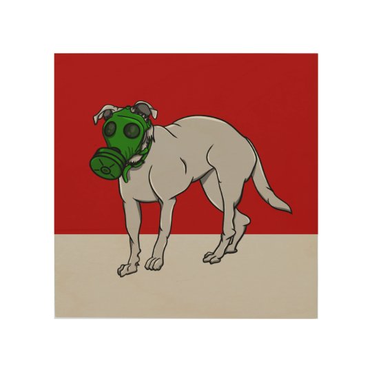 dog gas mask high resolution