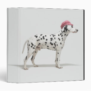 Dog wearing a hat 3 ring binder