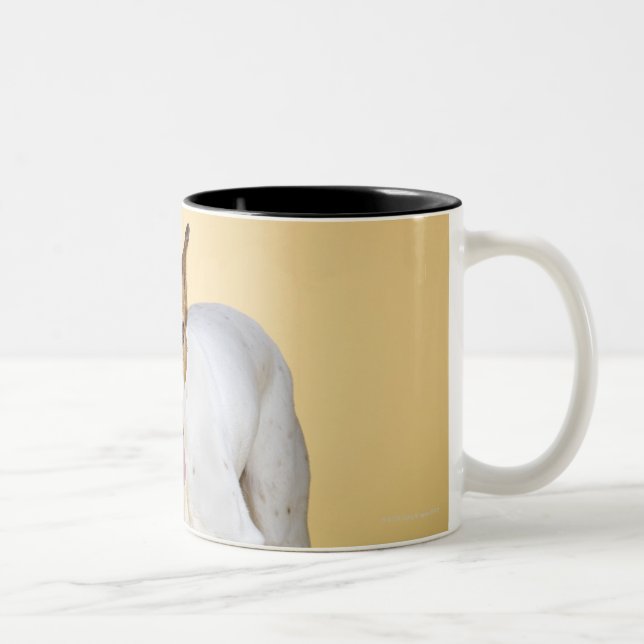 Dog wearing boots Two-Tone coffee mug (Right)