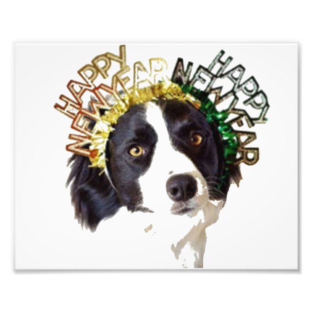 Dog wearing Happy New Years Hat Photo Print (Front)