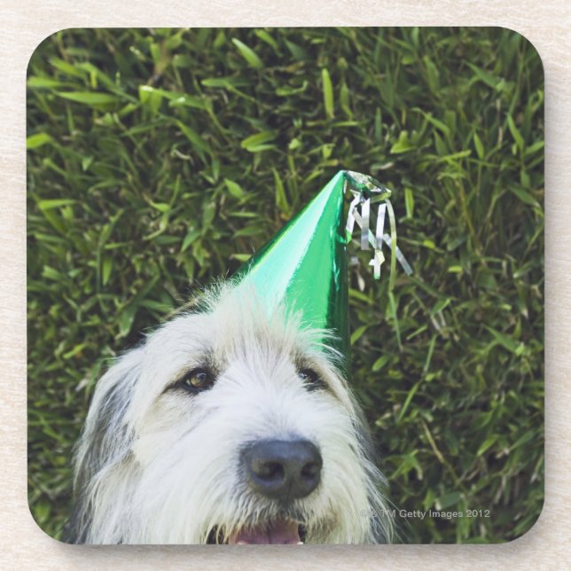 Dog wearing party hat drink coaster (Front)
