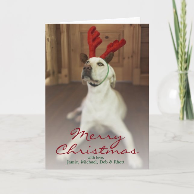 Dog wearing reindeer antlers holiday card (Front)