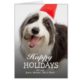 Dog wearing Santa hat (Front)
