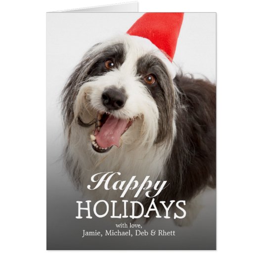 Dog wearing Santa hat Cards (Front)