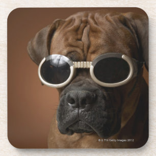 Dog wearing sunglasses drink coaster
