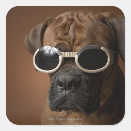 Dog wearing sunglasses square sticker