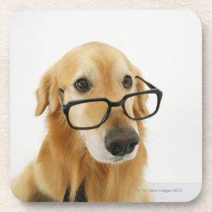 Dog wearing tie and glasses sitting on chair coaster