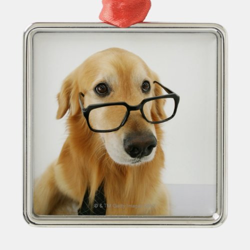 Dog wearing  tie and glasses sitting on chair in metal ornament