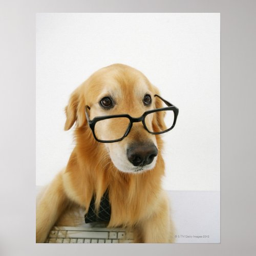 Dog wearing  tie and glasses sitting on chair in poster