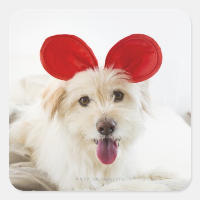 Dog wearing toy ears on bed square sticker (Front)
