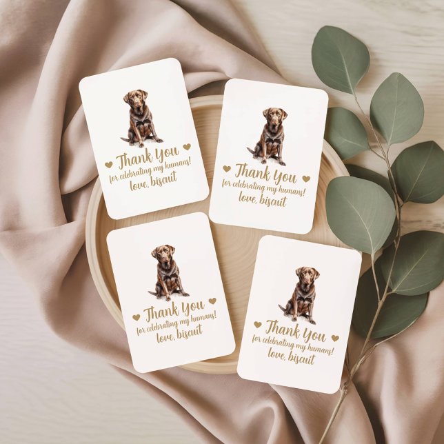 Dog Wedding Favor Playing Cards (Creator Uploaded)