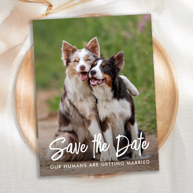 Dog Wedding Personalized Pet Photo Save The Date Announcement Postcard (Creator Uploaded)