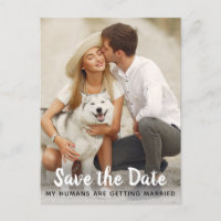 Dog Wedding Save The Date Announcement Postcard