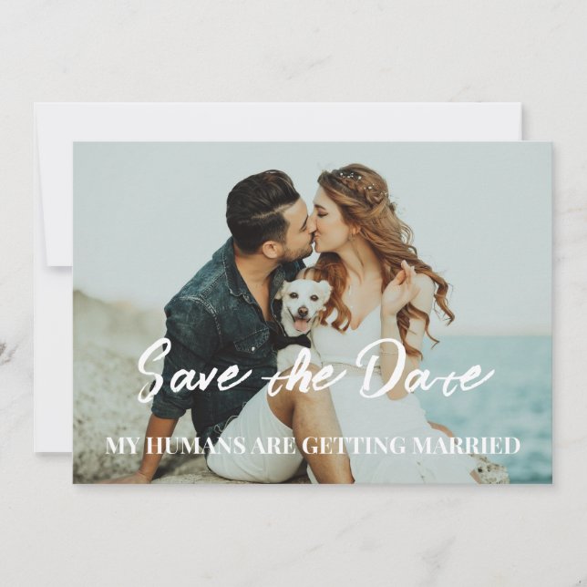 Dog wedding save the date budget  invitation (Front)