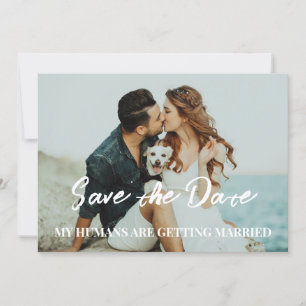Dog wedding save the date budget invitation