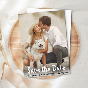 Dog Wedding Save The Date Budget Postcard