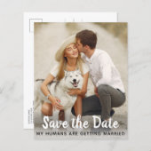 Dog Wedding Save The Date Budget QR Code Postcard (Front/Back)