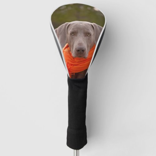 Dog Weimaraner Scarf Pet Canine Golf Head Cover