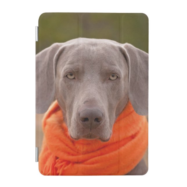 Dog Weimaraner Scarf Pet Canine iPad Mini Cover (Front)