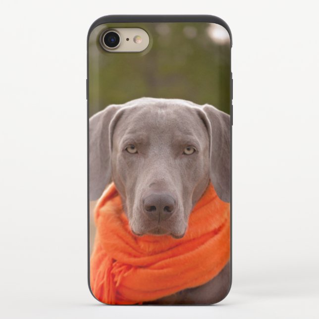 Dog Weimaraner Scarf Pet Canine Uncommon iPhone Case (Back)