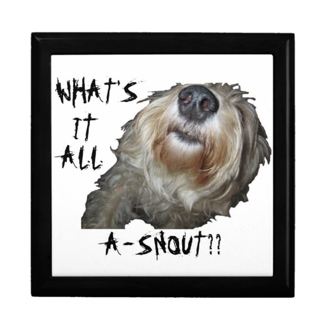 Dog "WHAT'S IT ALL A-SNOUT??" Keepsake Box (Front)