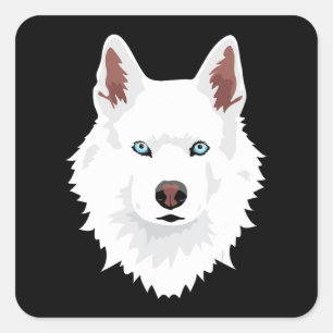 Dog   White Siberian Husky Canine White Snow Dog Square Sticker