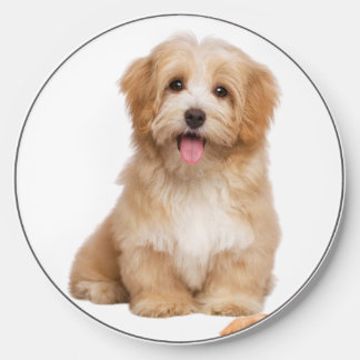 Dog Wireless Charger