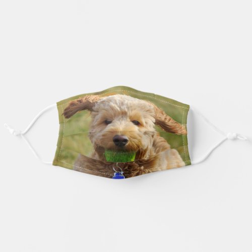 Dog with Ball Adult Cloth Face Mask