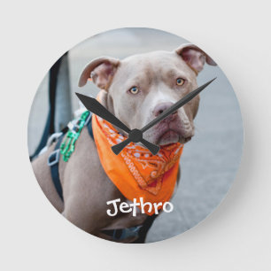 Dog with Bandana Round Clock