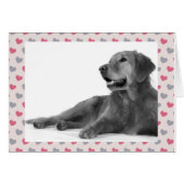 Dog with beautiful hearts (Front Horizontal)