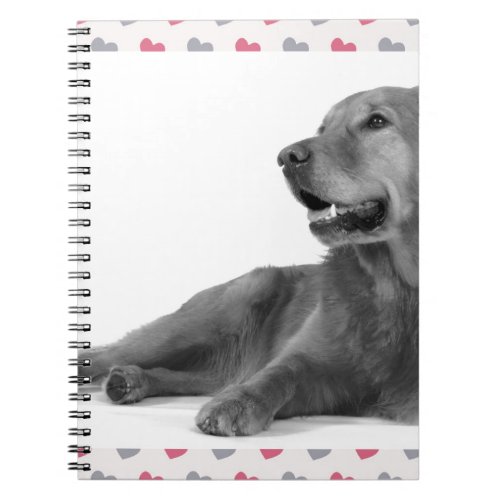 Dog with beautiful hearts notebook