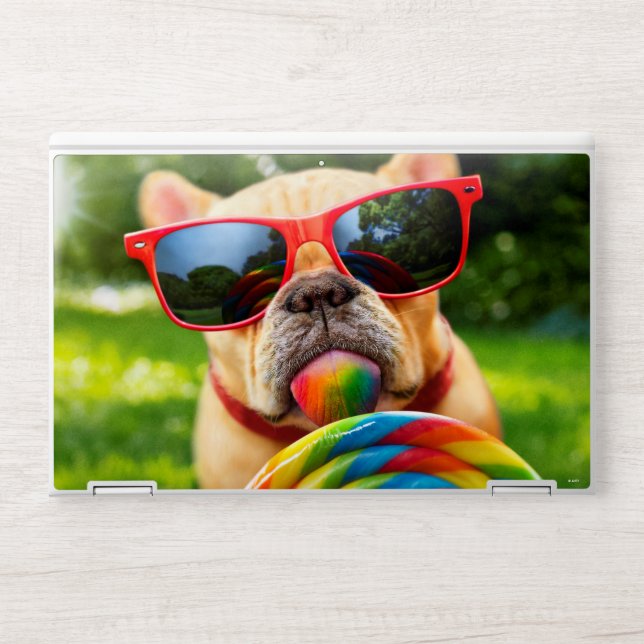 Dog With Big Lollipop HP Laptop Skin (Front)