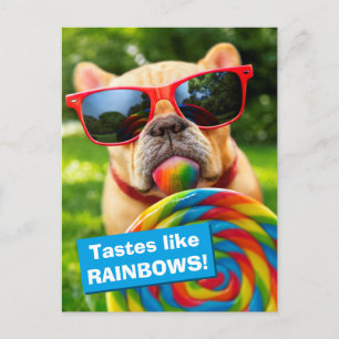 Dog With Big Lollipop Invitation Postcard