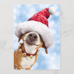 Dog With Big Santa Hat Invitation