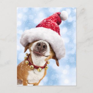 Dog With Big Santa Hat Invitation Postcard