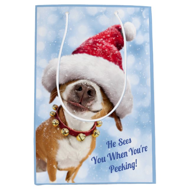 Dog With Big Santa Hat Medium Gift Bag (Front)