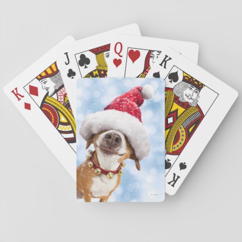 Dog With Big Santa Hat Playing Cards