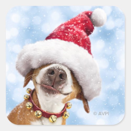 Dog With Big Santa Hat Square Sticker