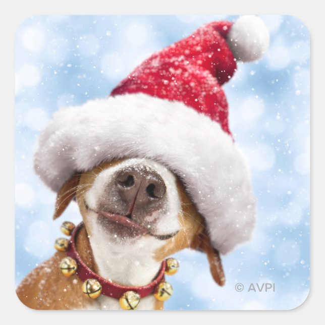 Dog With Big Santa Hat Square Sticker (Front)