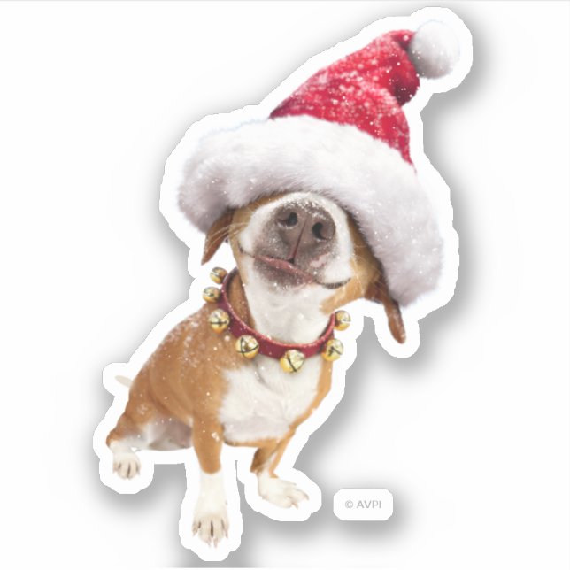 Dog With Big Santa Hat Sticker (Front)