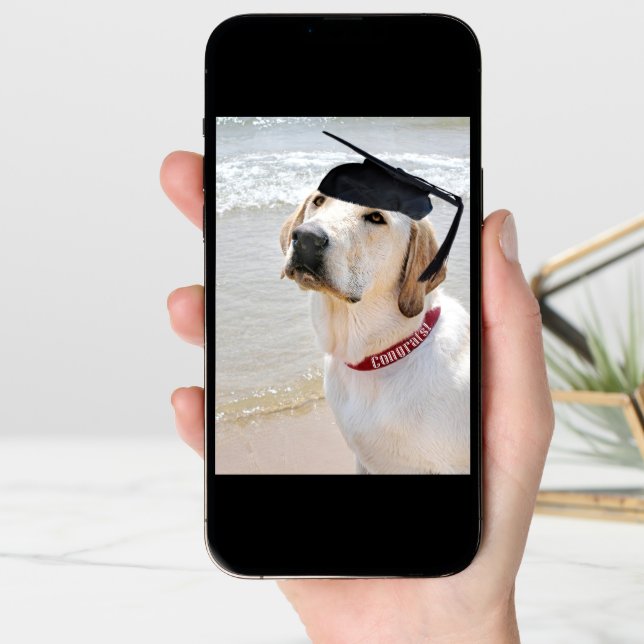 Dog with Black Graduation Cap Card (Front Digital)