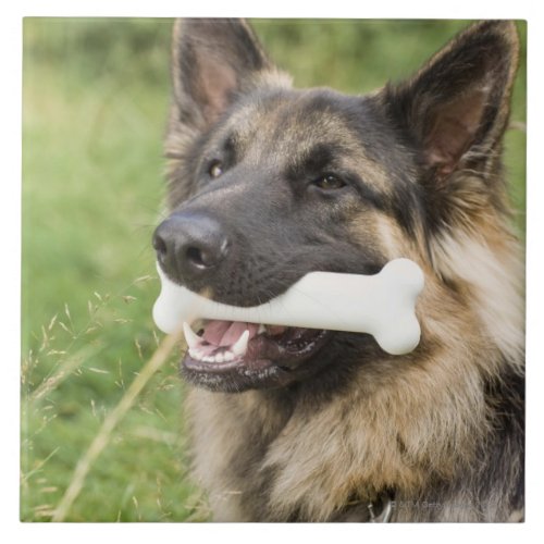 Dog with bone ceramic tile