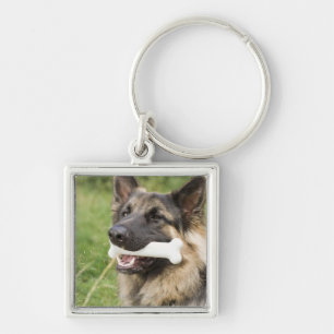 Dog with bone keychain