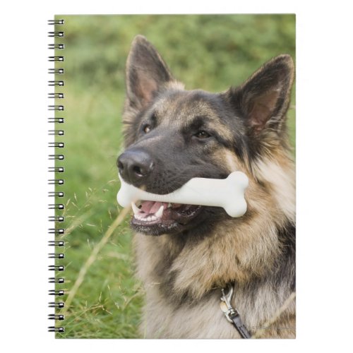 Dog with bone notebook