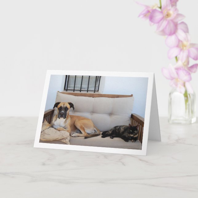 Dog with Cat on Bench Card (Orchid)