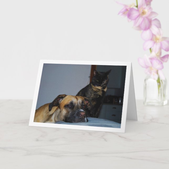 Dog with Cat Portrait Card (Orchid)